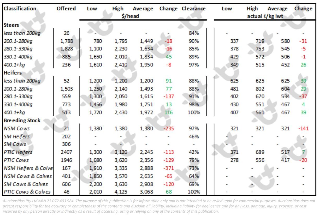 Weekly Cattle Comments - 25.06.21